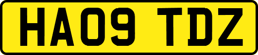 HA09TDZ