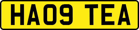 HA09TEA