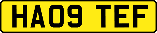 HA09TEF