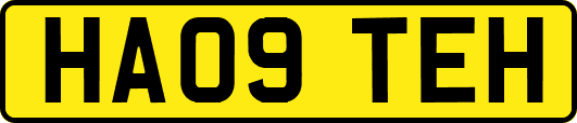 HA09TEH