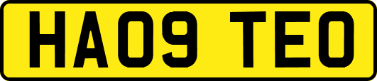 HA09TEO