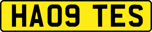 HA09TES