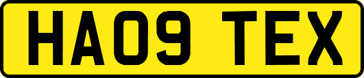 HA09TEX