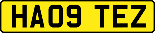 HA09TEZ