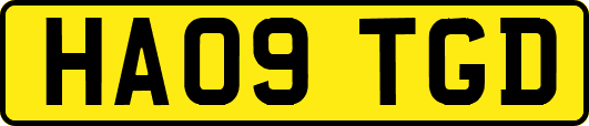 HA09TGD