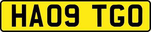HA09TGO