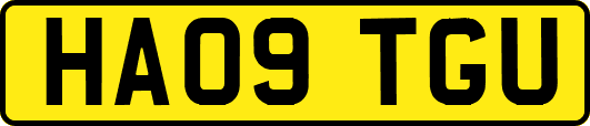 HA09TGU