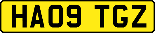 HA09TGZ