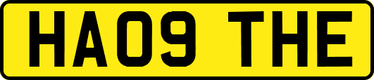 HA09THE