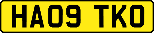 HA09TKO