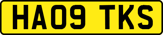 HA09TKS