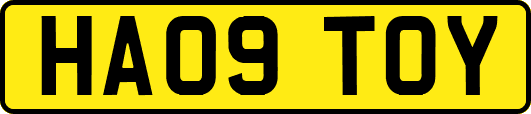 HA09TOY