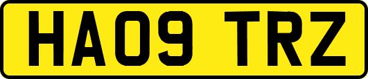 HA09TRZ