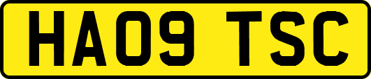 HA09TSC