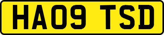 HA09TSD