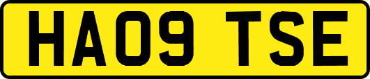 HA09TSE