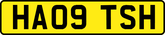 HA09TSH