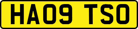 HA09TSO