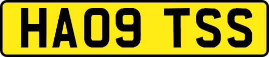 HA09TSS