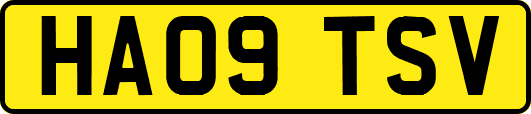 HA09TSV