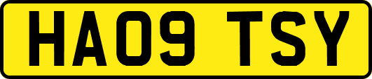 HA09TSY