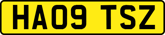 HA09TSZ