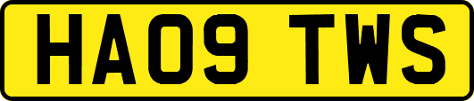 HA09TWS