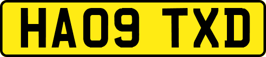 HA09TXD