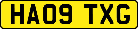 HA09TXG