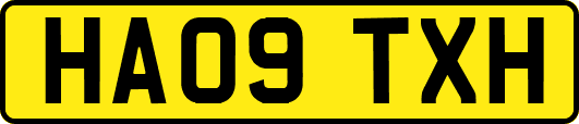 HA09TXH