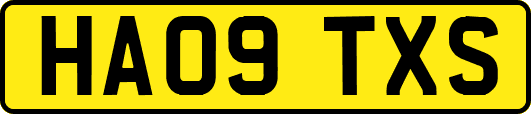 HA09TXS