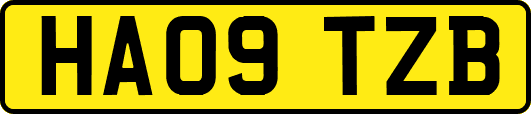 HA09TZB
