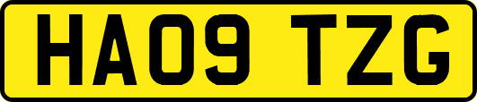 HA09TZG
