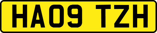 HA09TZH