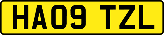 HA09TZL