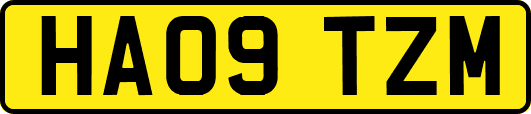 HA09TZM