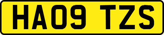 HA09TZS