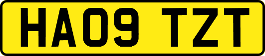HA09TZT