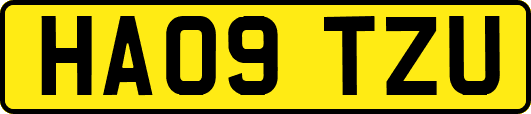 HA09TZU