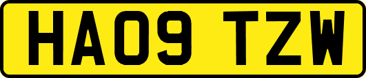 HA09TZW