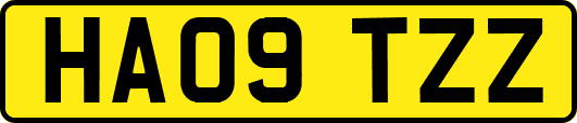 HA09TZZ