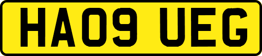 HA09UEG