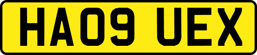 HA09UEX