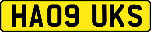 HA09UKS