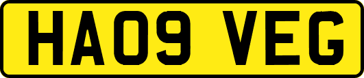 HA09VEG