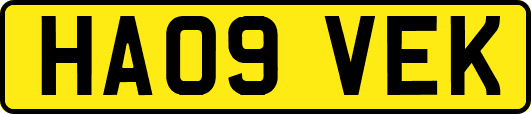 HA09VEK