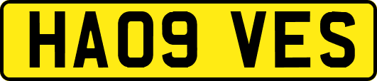 HA09VES