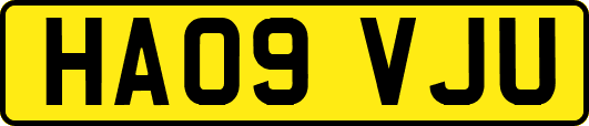 HA09VJU
