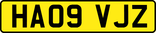 HA09VJZ