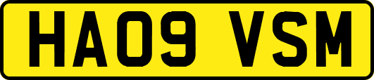 HA09VSM